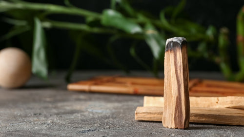 Cómo usar el Palo Santo: Transforma tu hogar en un oasis de paz y positividad - Mystical Tienda
