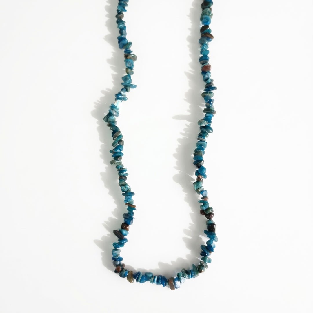 Collar Chip de Apatito - Mystical Tienda
