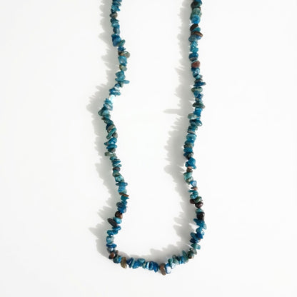 Collar Chip de Apatito - Mystical Tienda