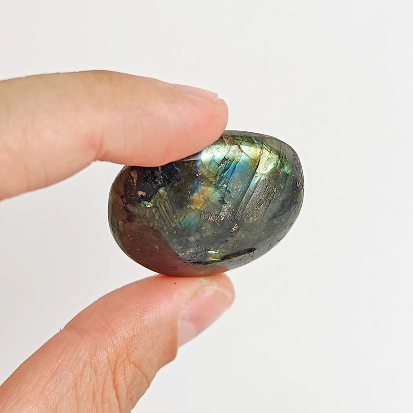 Rodado Palm Stone de Labradorita - Mystical Tienda