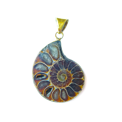 Colgante de Ammonite y Bronce - Mystical Tienda