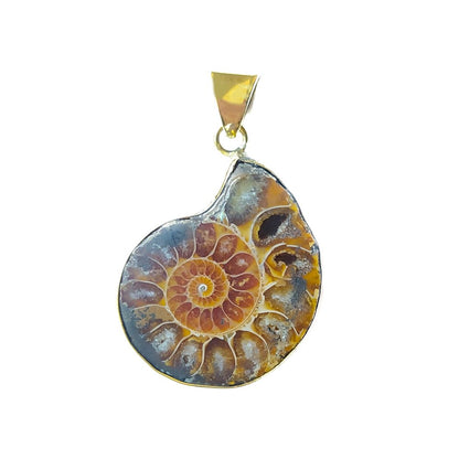 Colgante de Ammonite y Bronce - Mystical Tienda