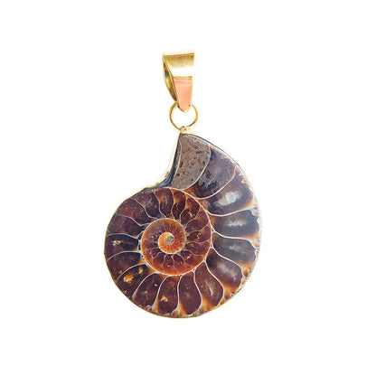 Colgante de Ammonite y Bronce - Mystical Tienda