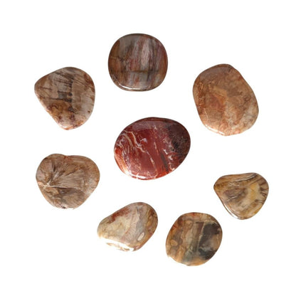 Rodado Plano de Xilópalo - Mystical Tienda