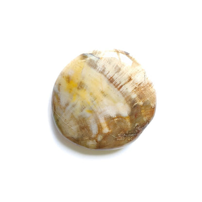 Rodado Plano de Xilópalo - Mystical Tienda Esotérica y de Minerales